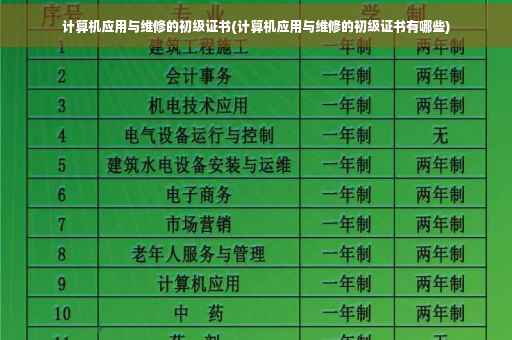计算机应用与维修的初级证书(计算机应用与维修的初级证书有哪些)