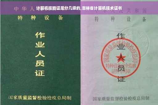 计算机技能证是分几级的,吉林省计算机技术证书