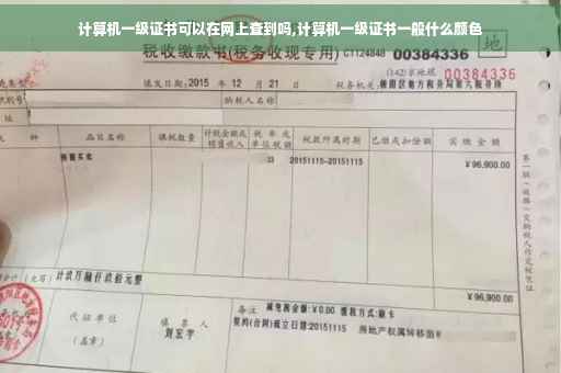 计算机一级证书可以在网上查到吗,计算机一级证书一般什么颜色