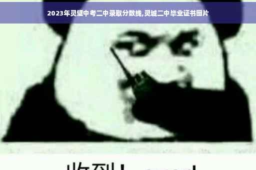 2023年灵璧中考二中录取分数线,灵城二中毕业证书图片
