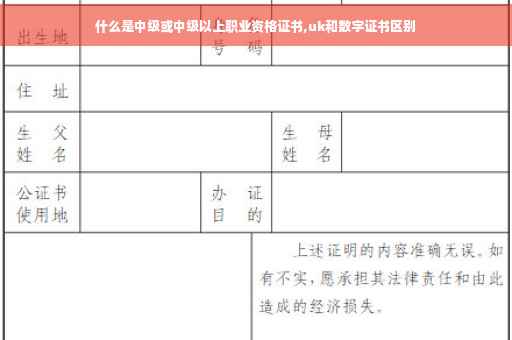 什么是中级或中级以上职业资格证书,uk和数字证书区别