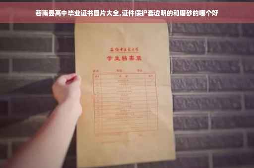苍南县高中毕业证书图片大全,证件保护套透明的和磨砂的哪个好