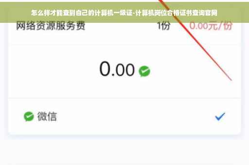 怎么样才能查到自己的计算机一级证-计算机岗位合格证书查询官网