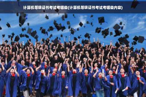 计算机等级证书考试考哪些(计算机等级证书考试考哪些内容)
