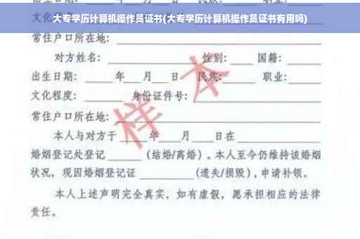 大专学历计算机操作员证书(大专学历计算机操作员证书有用吗)