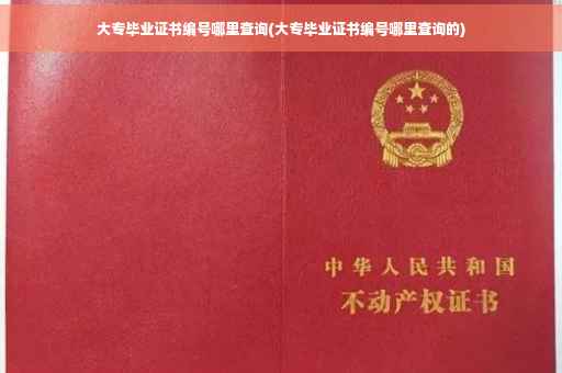 大专毕业证书编号哪里查询(大专毕业证书编号哪里查询的) 大专毕业证书编号哪里查询(大专毕业证书编号哪里查询的)