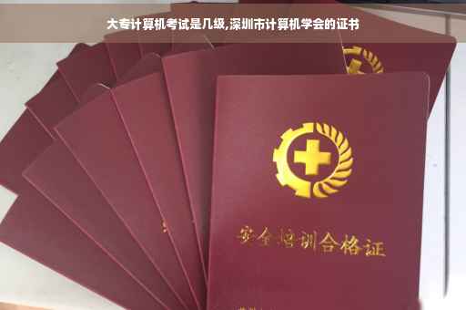 大专计算机考试是几级,深圳市计算机学会的证书