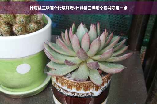 计算机三级哪个比较好考-计算机三级哪个证书好用一点