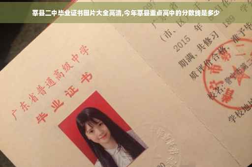 莘县二中毕业证书图片大全高清,今年莘县重点高中的分数线是多少