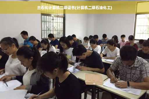 兰石化计算机二级证书(计算机二级石油化工)