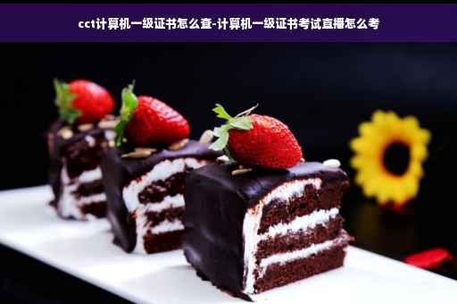 cct计算机一级证书怎么查-计算机一级证书考试直播怎么考