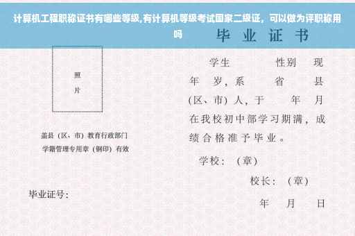 计算机工程职称证书有哪些等级,有计算机等级考试国家二级证，可以做为评职称用吗
