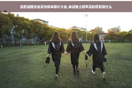 在职读博毕业证书样本图片大全,单证博士和双证的区别是什么