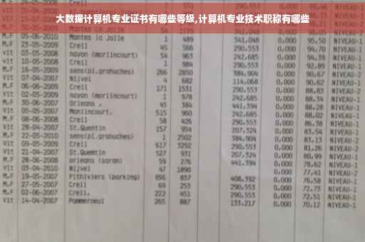 大数据计算机专业证书有哪些等级,计算机专业技术职称有哪些