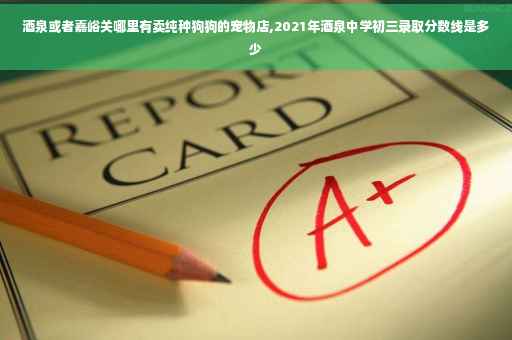 酒泉或者嘉峪关哪里有卖纯种狗狗的宠物店,2021年酒泉中学初三录取分数线是多少