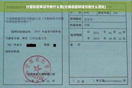 计算机初级证书有什么用(计算机初级证书有什么用处)