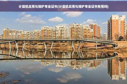 计算机应用与维护专业证书(计算机应用与维护专业证书有用吗)