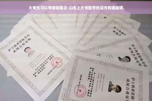大专生可以考哪些国企-山东上大专能考的证书有哪些呢