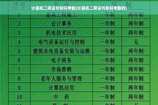 计算机二级证书如何考取(计算机二级证书如何考取的)