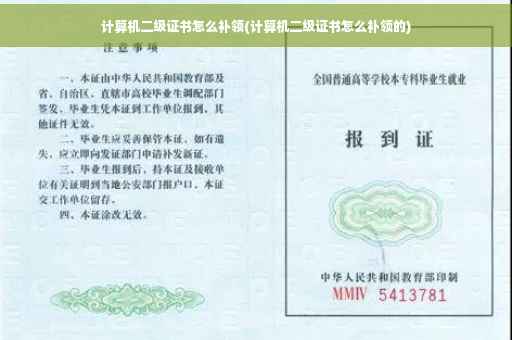 计算机二级证书怎么补领(计算机二级证书怎么补领的)