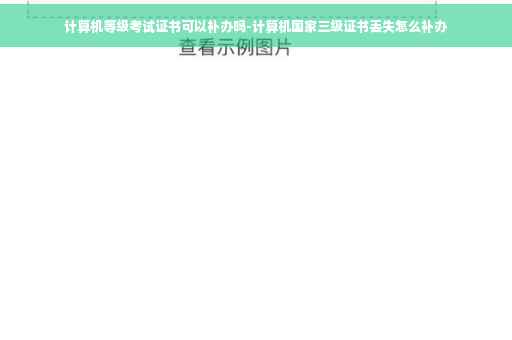 计算机等级考试证书可以补办吗-计算机国家三级证书丢失怎么补办