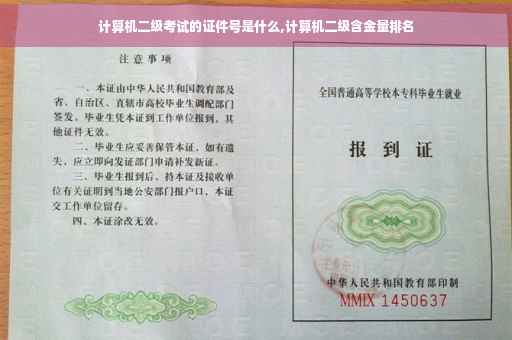 计算机二级考试的证件号是什么,计算机二级含金量排名
