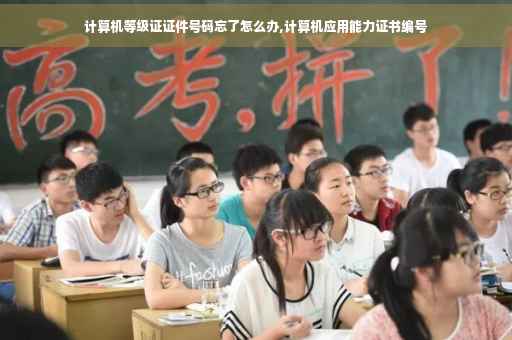 计算机等级证证件号码忘了怎么办,计算机应用能力证书编号