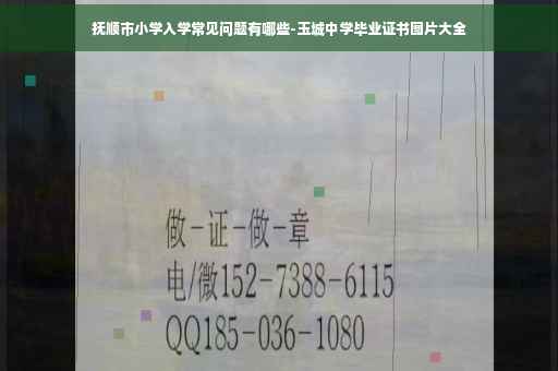 抚顺市小学入学常见问题有哪些-玉城中学毕业证书图片大全
