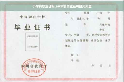 小学有毕业证吗,60年前毕业证书图片大全