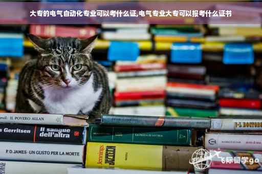 大专的电气自动化专业可以考什么证,电气专业大专可以报考什么证书