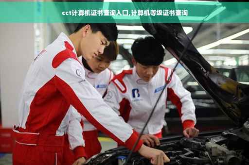 cct计算机证书查询入口,计算机等级证书查询