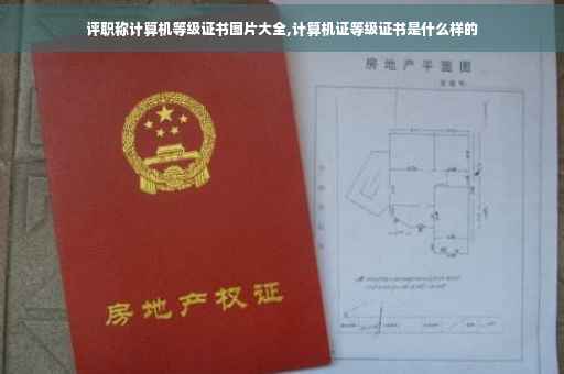 评职称计算机等级证书图片大全,计算机证等级证书是什么样的