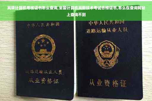 高级计算机考核证书怎么查询,全国计算机高新技术考试合格证书,怎么在查询网站上查询不到