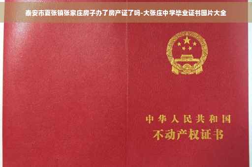泰安市夏张镇张家庄房子办了房产证了吗-大张庄中学毕业证书图片大全