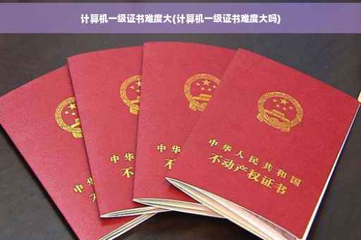 计算机一级证书难度大(计算机一级证书难度大吗)