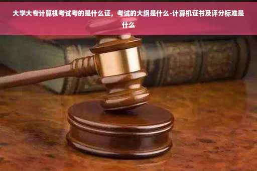 大学大专计算机考试考的是什么证，考试的大纲是什么-计算机证书及评分标准是什么