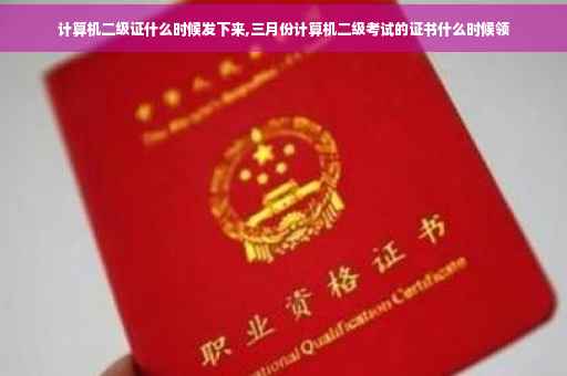 计算机二级证什么时候发下来,三月份计算机二级考试的证书什么时候领
