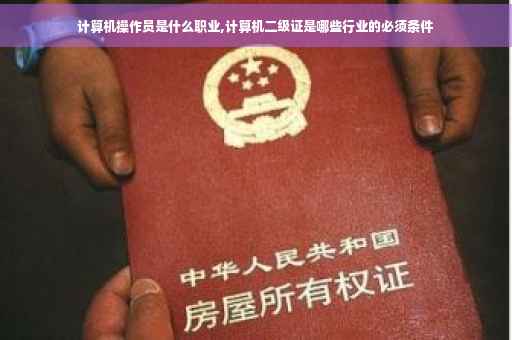 计算机操作员是什么职业,计算机二级证是哪些行业的必须条件