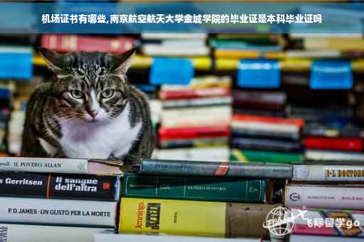 机场证书有哪些,南京航空航天大学金城学院的毕业证是本科毕业证吗