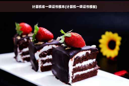 计算机省一级证书模本(计算机一级证书模板)