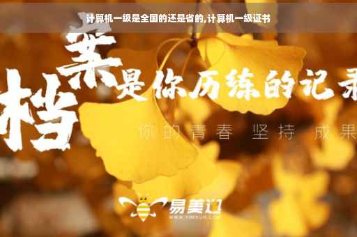 计算机一级是全国的还是省的,计算机一级证书