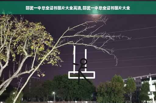 邵武一中毕业证书图片大全高清,邵武一中毕业证书图片大全
