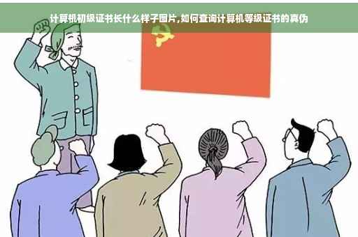 计算机初级证书长什么样子图片,如何查询计算机等级证书的真伪