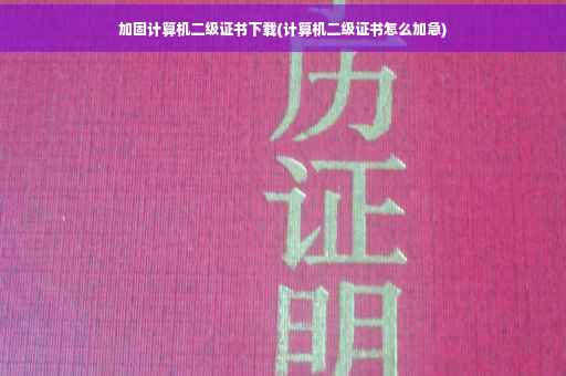 加固计算机二级证书下载(计算机二级证书怎么加急)
