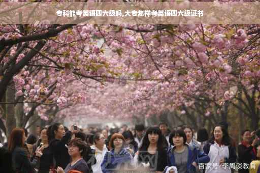 专科能考英语四六级吗,大专怎样考英语四六级证书
