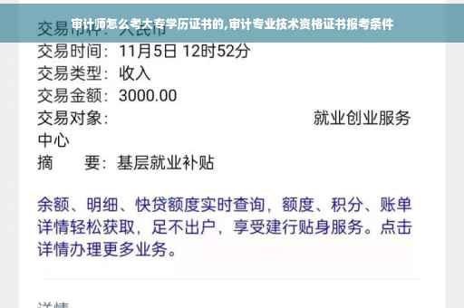 审计师怎么考大专学历证书的,审计专业技术资格证书报考条件