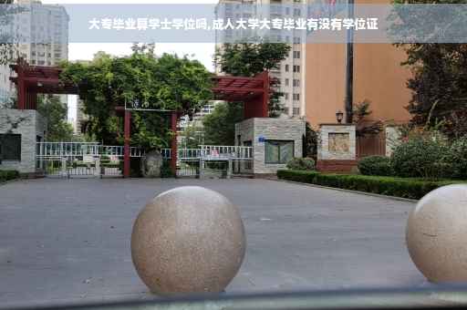 大专毕业算学士学位吗,成人大学大专毕业有没有学位证