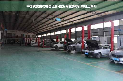 学国贸需要考哪些证书-国贸专业要考计算机二级吗