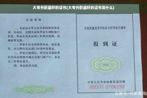 大专升职最好的证书(大专升职最好的证书是什么)