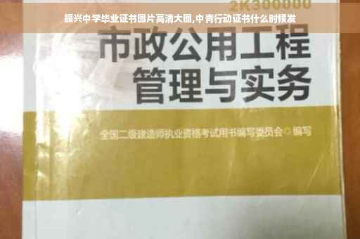 振兴中学毕业证书图片高清大图,中青行动证书什么时候发